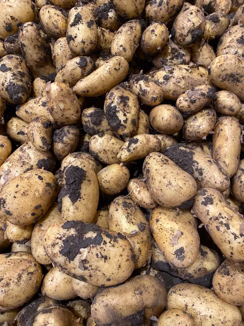 Batata Lavada (kg)